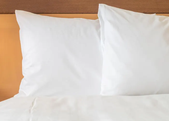 Express & - - O'hare By Ihg Hotel 3*